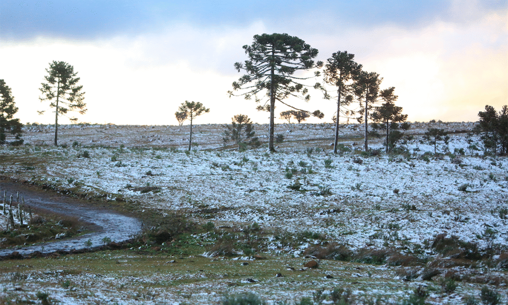 A sexta-feira (30) amanhece gelada, com mínimas entre -3°C e -5°C.
